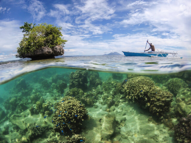 Local Fisherman Kokopo East New Britain 2017. Papua New Guinea.
